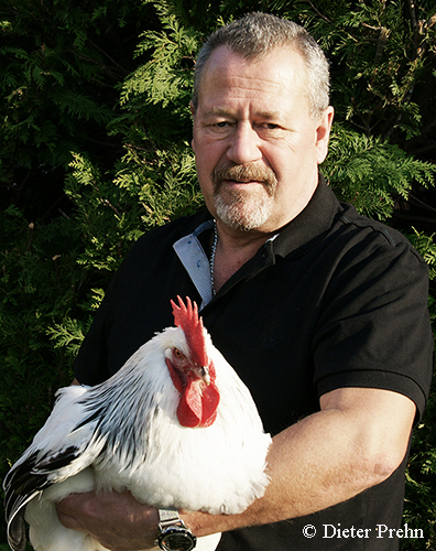 Profilbild